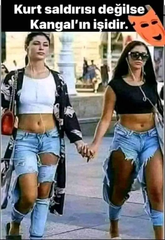 Kurt saldirisi degil Kangalin isidir.