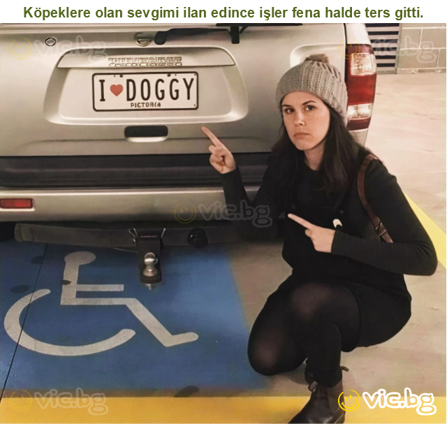 Köpeklere olan sevgimi ilan edince işler fena halde ters gitti.