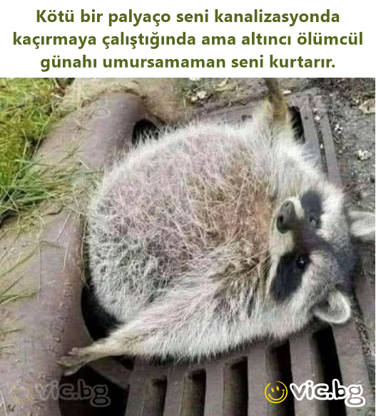 Kötü bir palyaço seni kanalizasyonda kaçırmaya çalıştığında ama altıncı ölümcül günahı umursamaman seni kurtarır.