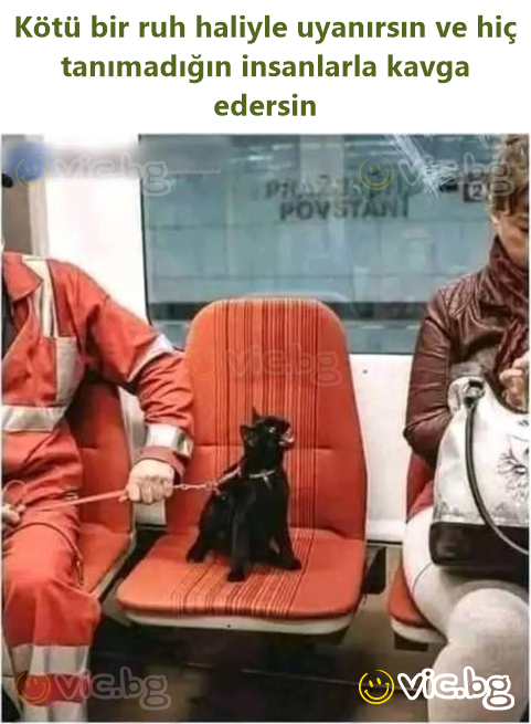 Kötü bir ruh haliyle uyanırsın ve hiç tanımadığın insanlarla kavga edersin