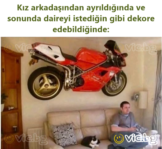 Kız arkadaşından ayrıldığında ve sonunda daireyi istediğin gibi dekore edebildiğinde: