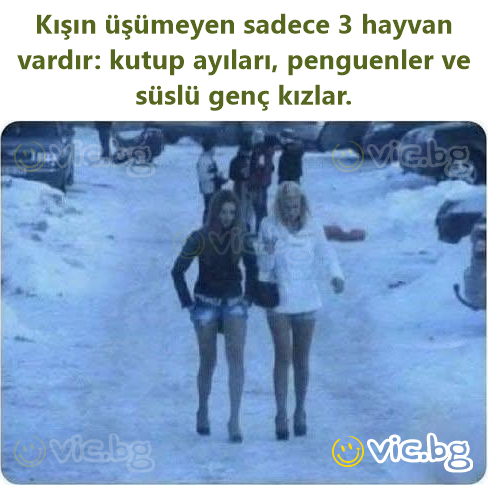 Kışın üşümeyen sadece 3 hayvan vardır: kutup ayıları, penguenler ve süslü genç kızlar.