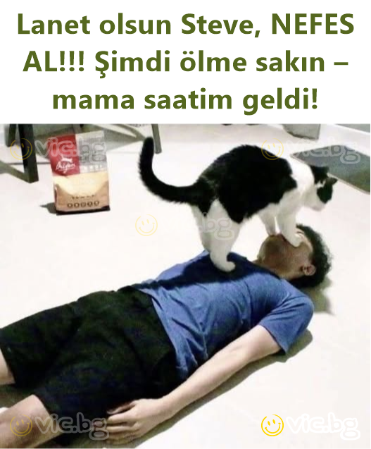 Lanet olsun Steve, NEFES AL!!! Şimdi ölme sakın – mama saatim geldi!