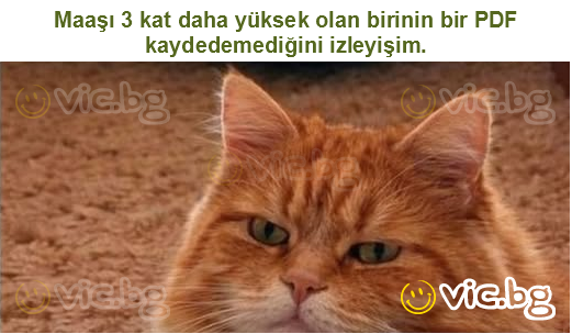 Maaşı 3 kat daha yüksek olan birinin bir PDF kaydedemediğini izleyişim.