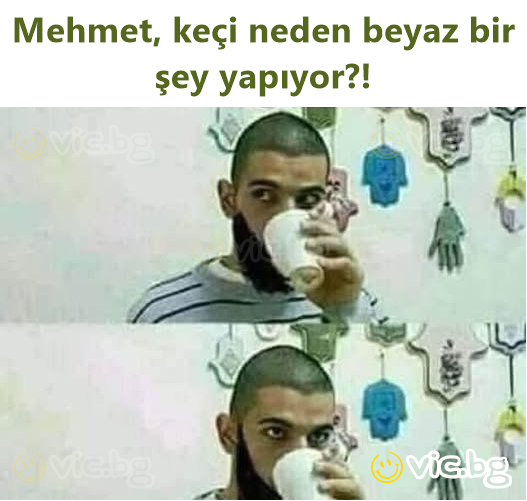 Mehmet, keçi neden beyaz bir şey yapıyor?!