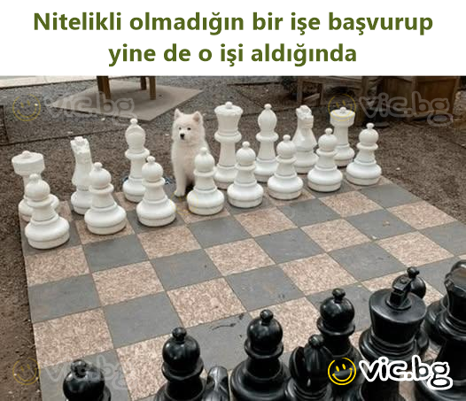 Nitelikli olmadığın bir işe başvurup yine de o işi aldığında