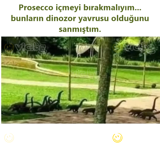 Prosecco içmeyi bırakmalıyım... bunların dinozor yavrusu olduğunu sanmıştım.