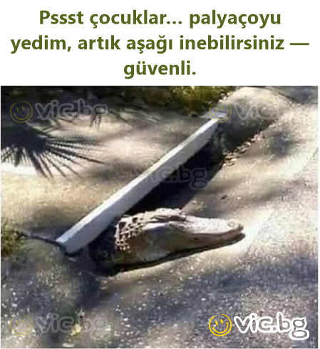 Pssst çocuklar… palyaçoyu yedim, artık aşağı inebilirsiniz — güvenli.