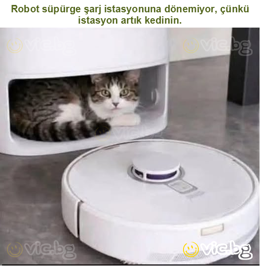 Robot süpürge şarj istasyonuna dönemiyor, çünkü istasyon artık kedinin.