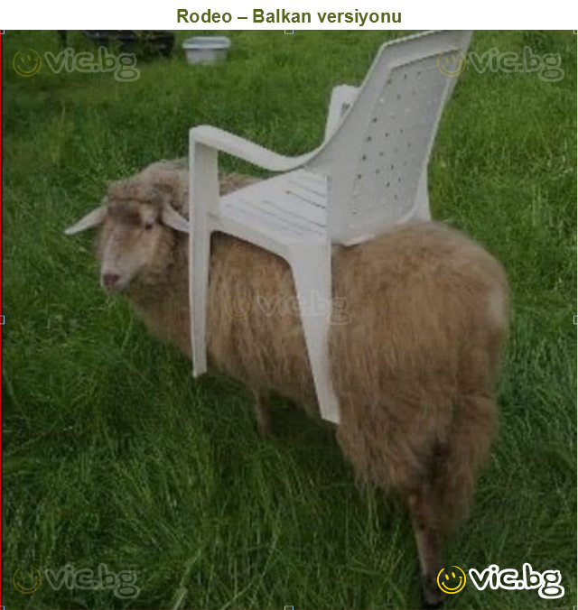 Rodeo – Balkan versiyonu