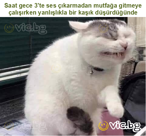 Saat gece 3'te ses çıkarmadan mutfağa gitmeye çalışırken yanlışlıkla bir kaşık düşürdüğünde