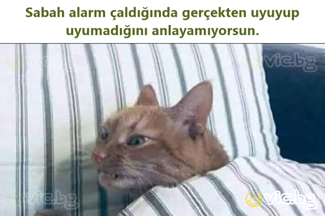 Sabah alarm çaldığında gerçekten uyuyup uyumadığını anlayamıyorsun.