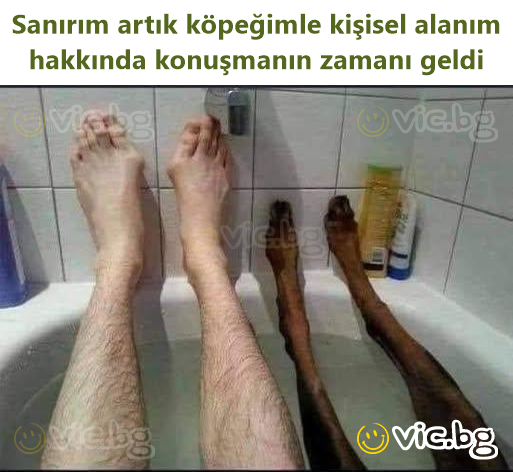 Sanırım artık köpeğimle kişisel alanım hakkında konuşmanın zamanı geldi