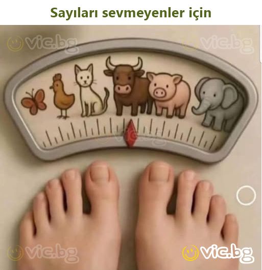 Sayıları sevmeyenler için