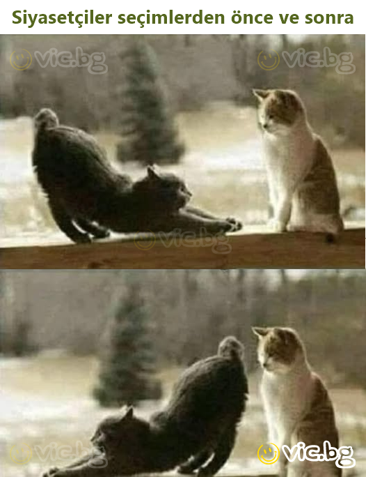 Siyasetçiler seçimlerden önce ve sonra