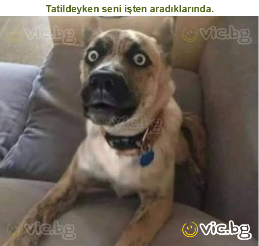 Tatildeyken seni işten aradıklarında.