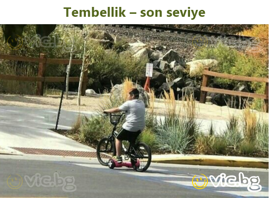 Tembellik – son seviye