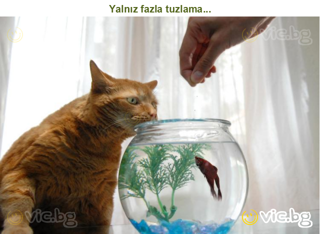 Yalnız fazla tuzlama...