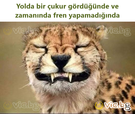 Yolda bir çukur gördüğünde ve zamanında fren yapamadığında