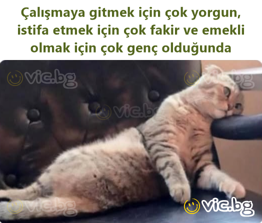 Çalışmaya gitmek için çok yorgun, istifa etmek için çok fakir ve emekli olmak için çok genç olduğunda