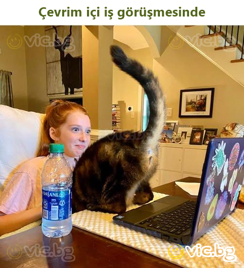 Çevrim içi iş görüşmesinde