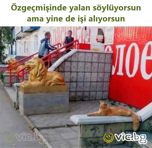 Özgeçmişinde yalan söylüyorsun ama yine de işi alıyorsun