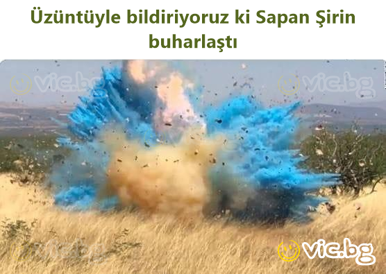 Üzüntüyle bildiriyoruz ki Sapan Şirin buharlaştı