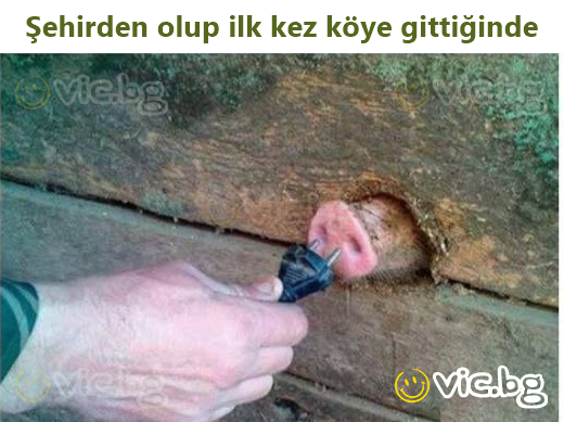 Şehirden olup ilk kez köye gittiğinde