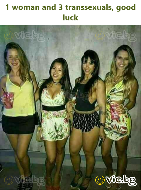 1 woman and 3 transsexuals, good luck