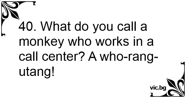 40-what-do-you-call-a-monkey-who-works-in-a-call-center-a-who-rang-utang