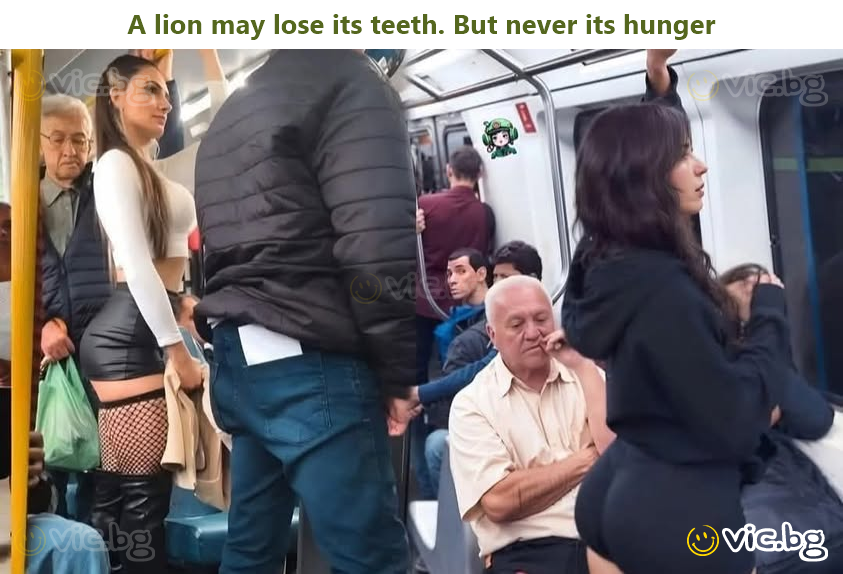 A lion may lose its teeth. But never its hunger