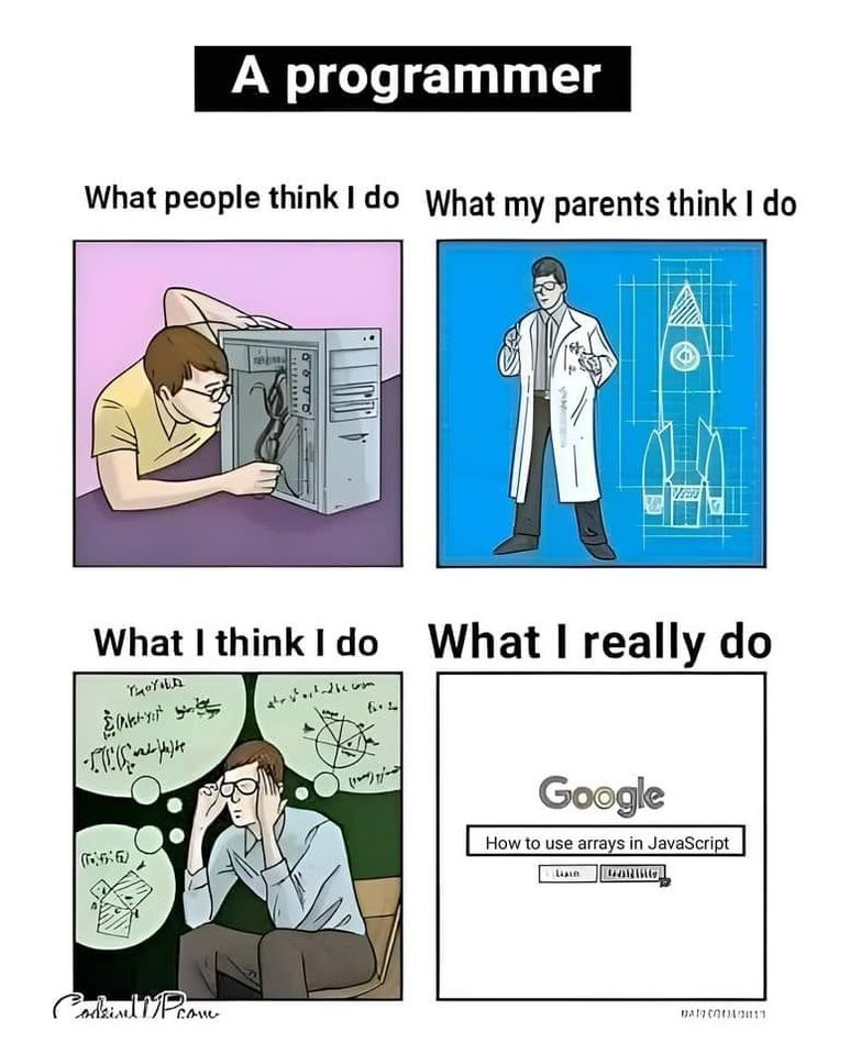 A programmer: What people think i do,  what my parents think i o, what i think i do, what i really do
