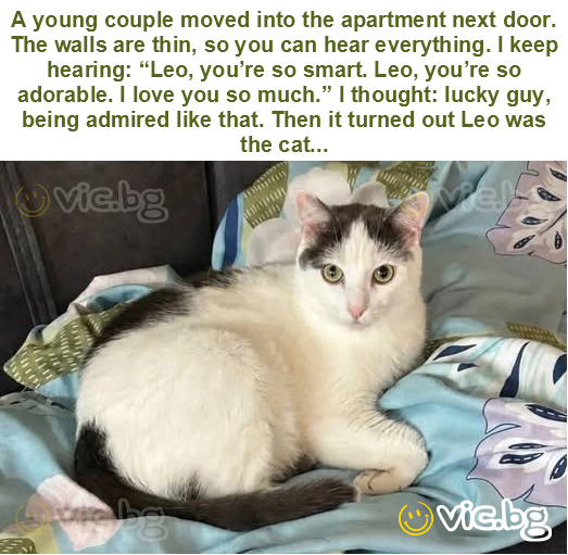 A young couple moved into the apartment next door. The walls are thin, so you can hear everything. I keep hearing: “Leo, you’re so smart. Leo, you’re so adorable. I love you so much.” I thought: lucky...