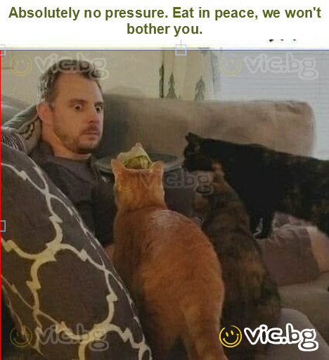 Absolutely no pressure. Eat in peace, we won't bother you.