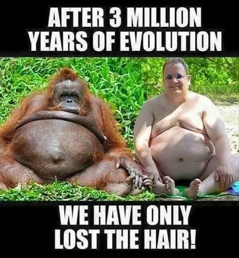 After 3 million years of evolution  We have only lost the hair 