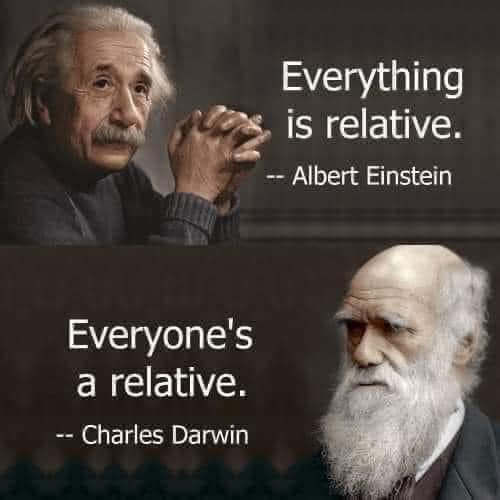 Albert Einstein - Everything is relative. Charles Darwin -  Everyone's a relative.