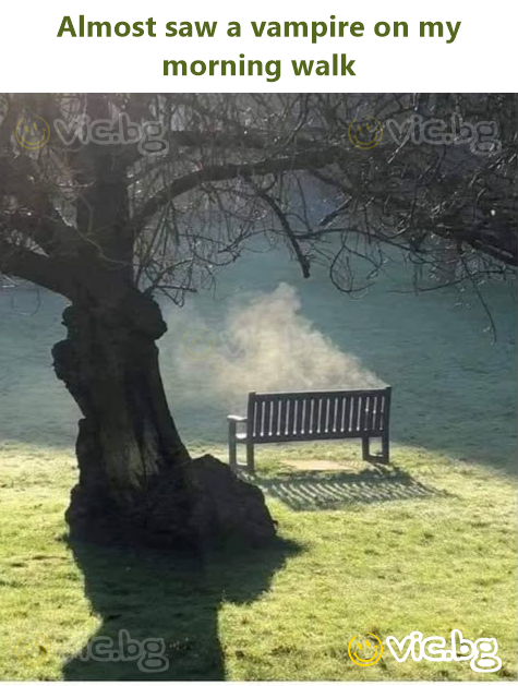 Almost saw a vampire on my morning walk