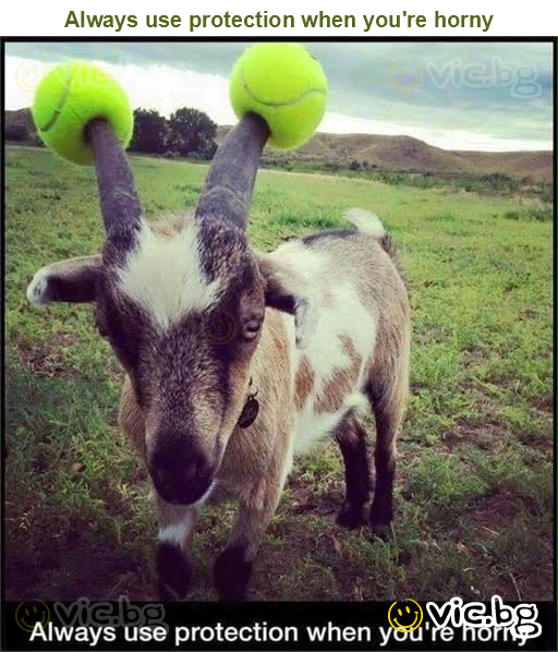 Always use protection when you're horny