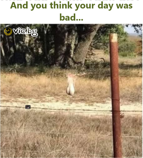 And you think your day was bad...