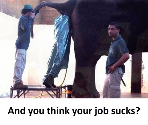 And you think, your job sucks