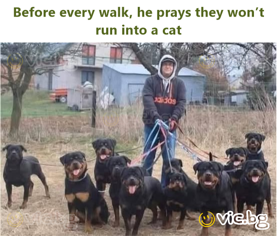 Before every walk, he prays they won’t run into a cat
