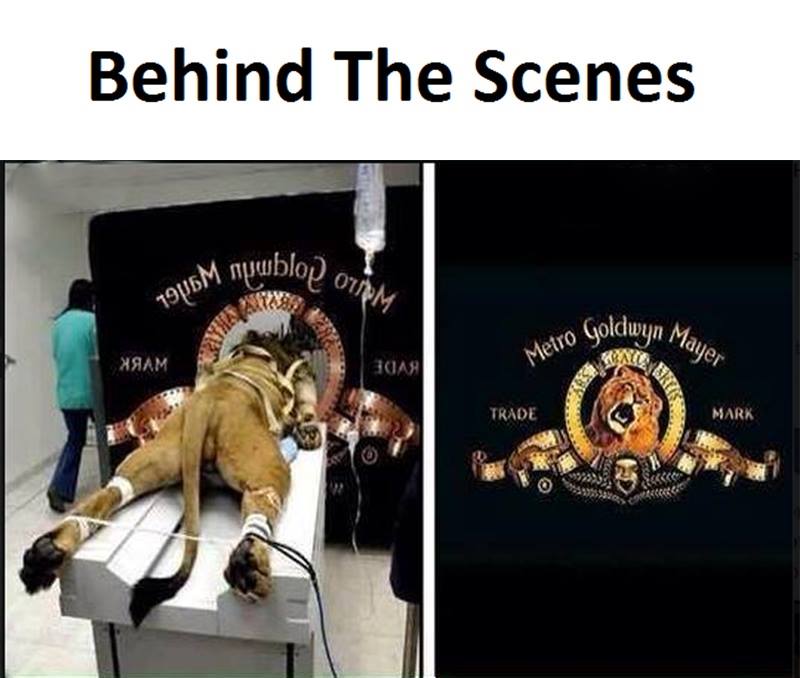 Behind the scenes - metro goldwyn mayer