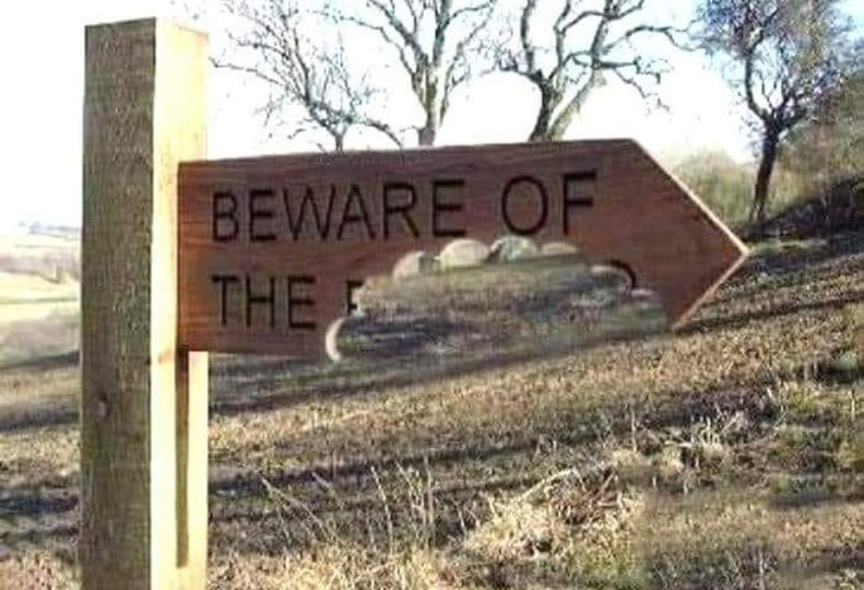 Beware of the