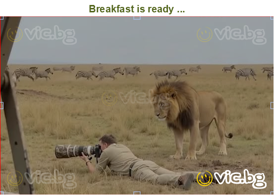 Breakfast is ready ...