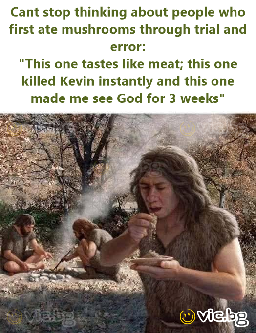 Cant stop thinking about people who first ate mushrooms through trial and error: "This one tastes like meat; this one killed Kevin instantly and this one made me see God for 3 weeks"