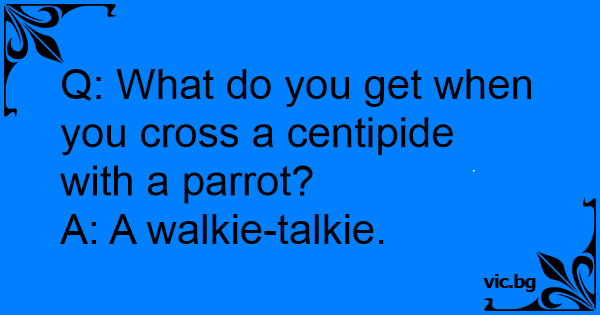 centipede-parrot