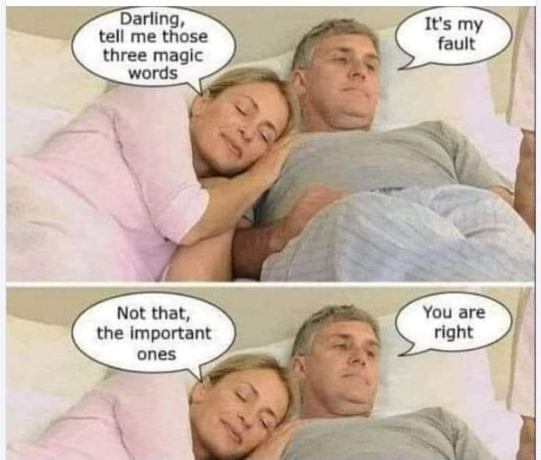 Darling, tell me those three magic words. It's my fault. Not that, the important ones! You are right!