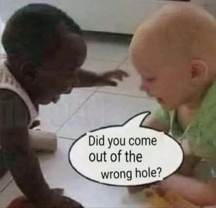 Did you come out of the wrong hole?   