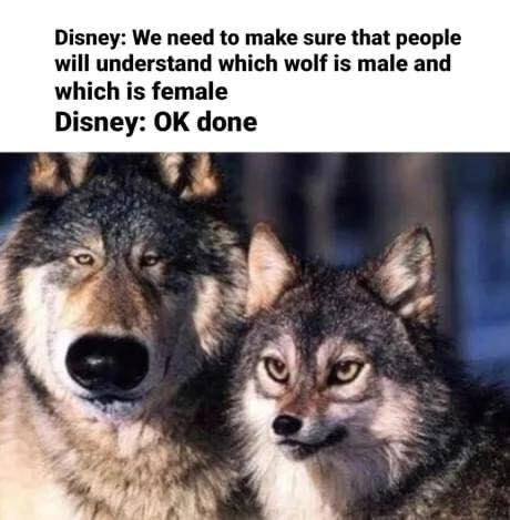 Disney: We need to make sure that people will understand which wolf is male and which is female Disney: OK done
