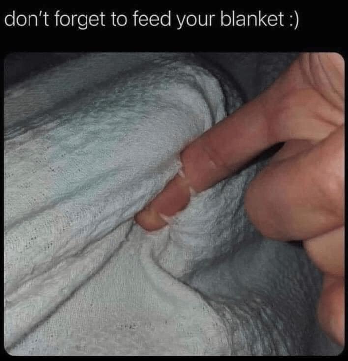Do not forget to feed your blanket!